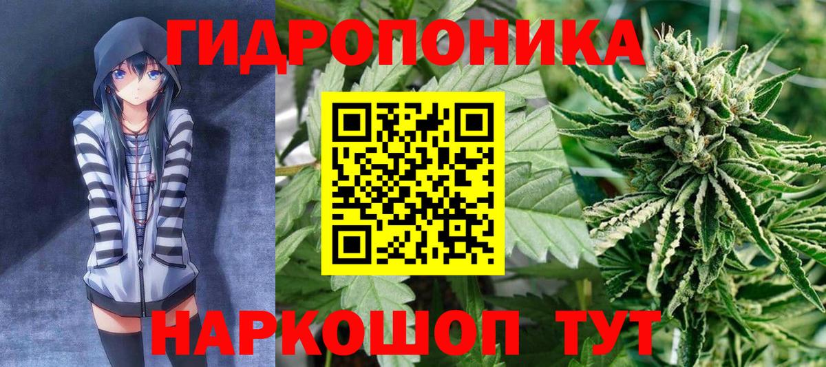 Каннабис гибрид Углич